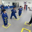 나라찬 태권도장 이미지