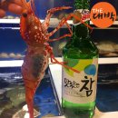 새우일 산소 네이버블로그