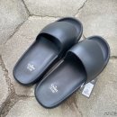 스폰지캐럿 티스토리