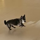 포우 파라다이스 이미지