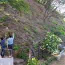 난향동-23 이미지