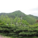 거제도 산방산 비원 [120504] 이미지