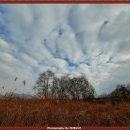 위례강변길 이미지