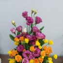 한마음의원 이미지