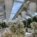 그린앤블루호텔 | [공지] 더링크호텔웨딩 27년 상반기 견적 공유, 계약 후기