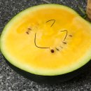 하이미김밥 | 희지야 우리가 사랑아님 뭐야?
