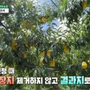 이재권농장 이미지