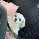 프리펫살롱 이미지