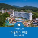 스플라스리솜 이미지