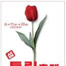 2025 섬 홍매화축제 이미지