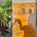 함덕 숨어있는집 이미지