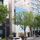 Dr. 구의원 이미지