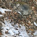 신라샘1 이미지