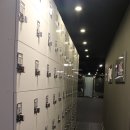 엠스타 복싱 클럽 | [운동]망원M스타복싱 운동 후기