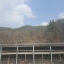 신기축사 이미지