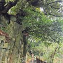 안덕면 감산리 재활용 도움센터 | 제주도 서귀포 숨은명소 안덕계곡 10분으로 자연 힐링