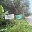 놀러와요 | 치앙마이 코끼리 보호소 투어 후기, 놀러와요 코끼리의 숲