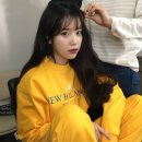 노란병아리 이미지