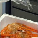 영덕대게 이미지