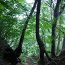 바우길 2구간 이미지