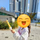 대구 죽전네거리 근처탕후루 맛집 왕가탕후루 새콤달콤한 맛!