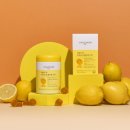 데일리핏 이미지