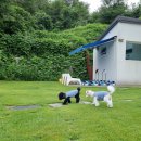 바우하우스 105 이미지