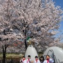 국가대표 용인대 비룡태권도장 이미지