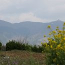 경화초등학교 이미지