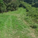 봉화산 솔바람길 이미지