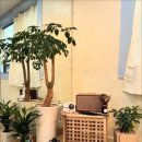 저스트무브(JUST MOVE) 이미지