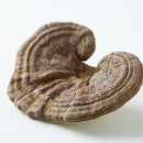 심심한의원 이미지