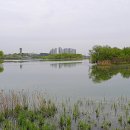 왕송호수공원 이미지