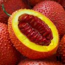 바른컴퍼니 이미지