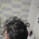 (주)씨앤유헬스케어 | 남성탈모방지샴푸 농협헬스케어 팝업샴푸 사용후기