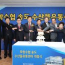 경북활어센타