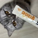마이티헤어 | 고양이 짜먹는 펫간식 | 마이티츄 짜먹는 간식 츄루