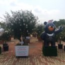 강원도립화목원 이미지