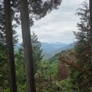 편백자연휴양림 이미지