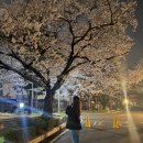 대학로11길 | 현쪽이 인 과음 보 4월 결산 와랄라