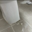 독서당로 | 성동구 독서당로 응봉현대아파트 양변기 백시멘트 제거 및 재시공 후기