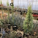 명자농장 이미지