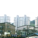 대복무지개송어회 이미지