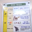 [강원도 정선] 정선&amp;태백 방문할 때 가성비 좋은 정선 메이힐스 리조트