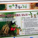 윤희네농장 | 운희네농장 새싹삼+삼붕초 &#39;효도초&#39;