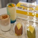 고성카페 레드인블루｜백촌막국수 근처 찰옥시기빵 인기 베이커리
