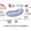 성이
