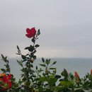 한국폴리텍 V 대학 광주캠퍼스 이미지