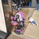 토닥토닥오정공원점 네이버블로그