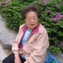 성황당어린이공원 이미지